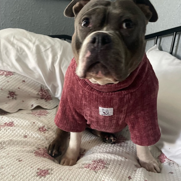 Meet your Posher, Dan - Picture 4 of 5